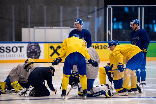 Sveriges målvaktstränare Stefan Ladhe håller en