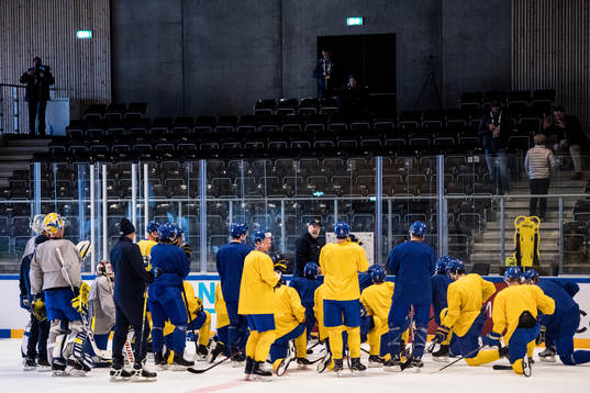 Sveriges förbundskapten Rikard Grönborg håller