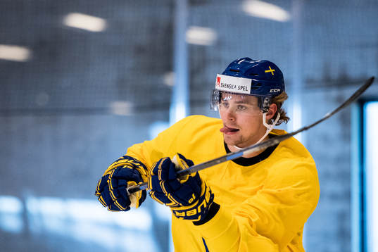 Sveriges Adrian Kempe