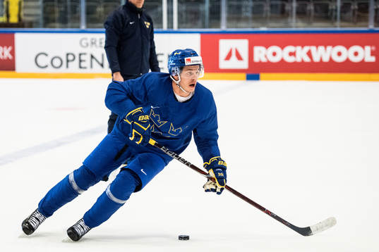Sveriges Mattias Janmark