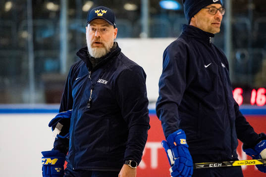 Förbundskapten Rikard Grönborg och assisterande tränare
