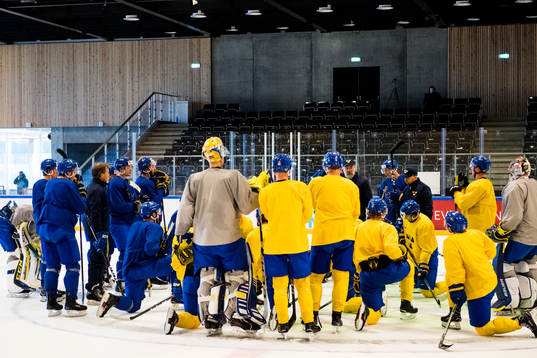 Sveriges spelare samlas kring förbundskapten Rikard