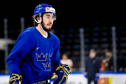 Mika Zibanejad