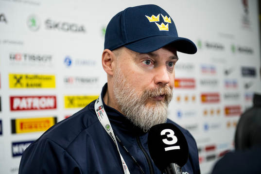 Förbundskapten Rikard Grönborg