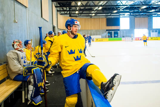 Sveriges Oliver Ekman Larsson