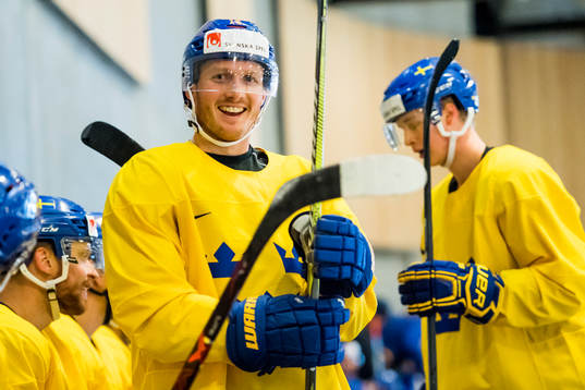 Sveriges Gustav Nyquist