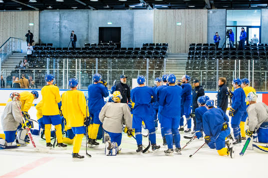 Sveriges förbundskapten Rikard Grönborg