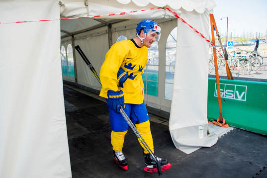 Sveriges Gustav Nyquist