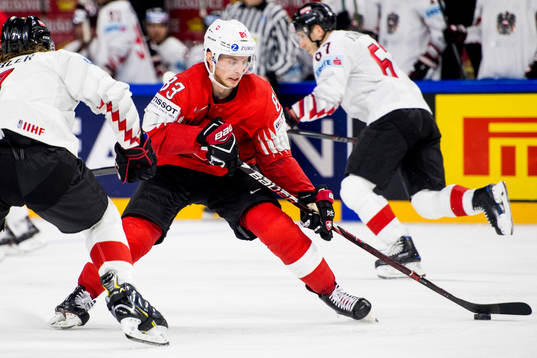 Schweiz Joel Vermin