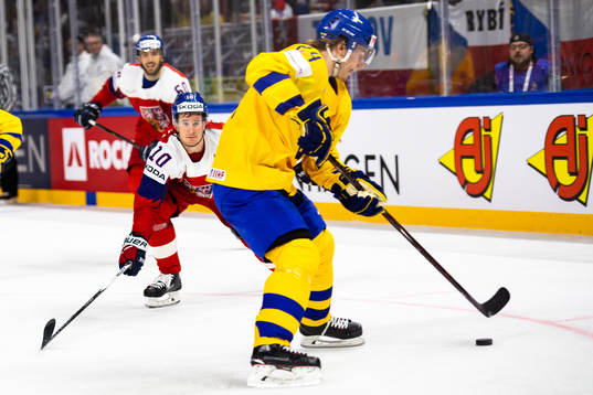 Tjeckiens  Roman Cervenka och Sveriges Lias Andersson