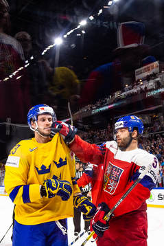 Sveriges Oliver Ekman Larsson och Tjeckiens  David