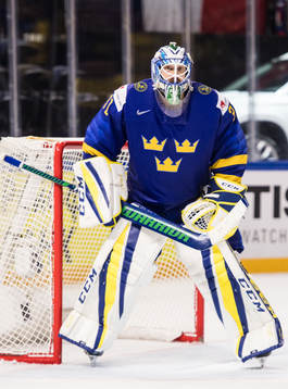 Sveriges målvakt Anders Nilsson