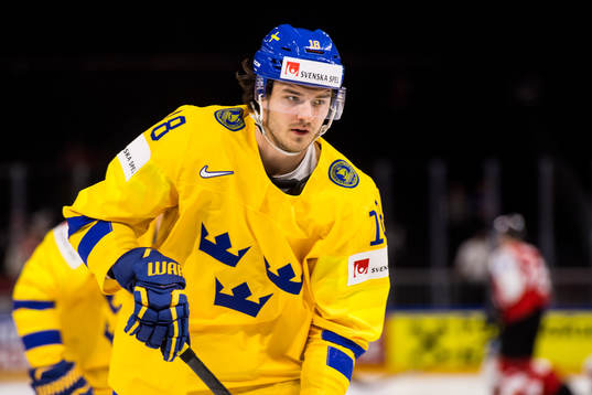 Sveriges Dennis Everberg