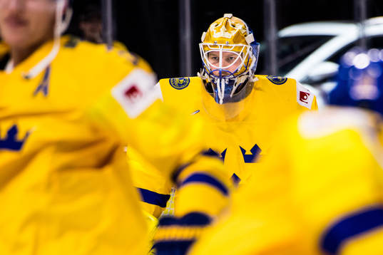 Sveriges målvakt Magnus Hellberg