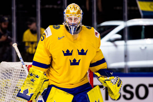 Sveriges målvakt Magnus Hellberg