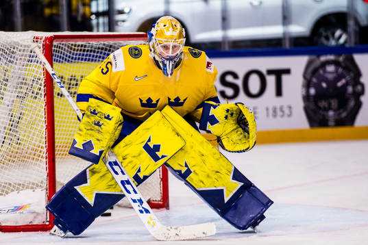 Sveriges målvakt Magnus Hellberg