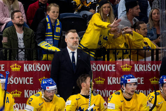 Sveriges förbundskapten Rikard Grönborg