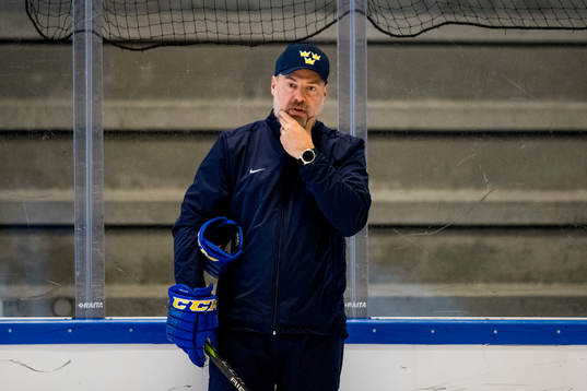 Förbundskapten Rikard Grönborg