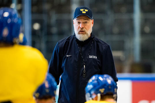 Förbundskapten Rikard Grönborg