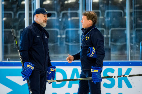 Förbundskapten Rikard Grönborg och assisterande tränare