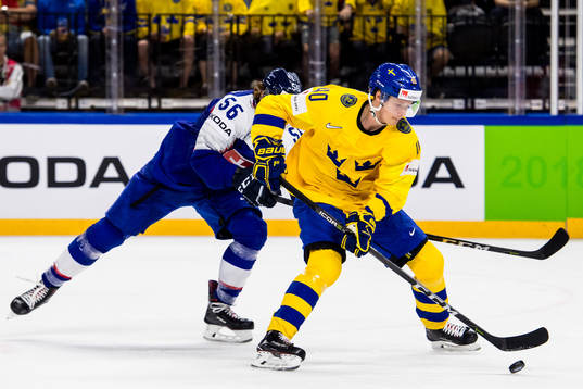Sveriges Elias Pettersson och Slovakiens Michal Cajkovsky