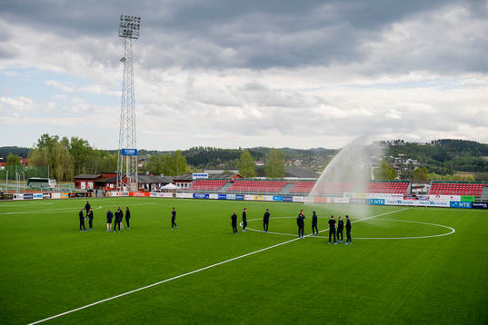 The players of Viking