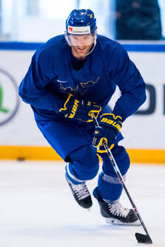 Sveriges Mattias Ekholm