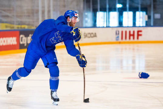 Sveriges Mattias Ekholm