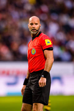 Domare Stefan Johannesson
