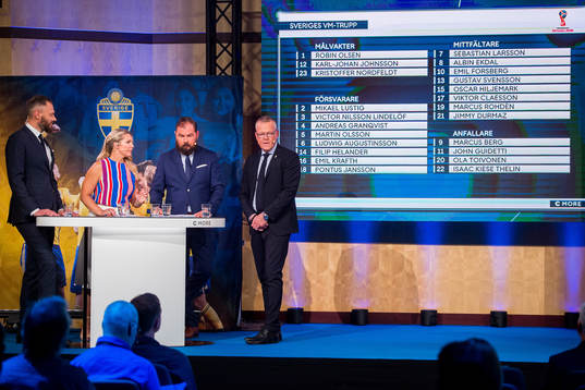 Sveriges förbundskapten Janne Andersson