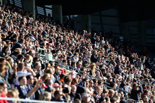 Viking supporters