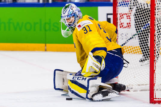 Sveriges målvakt Anders Nilsson