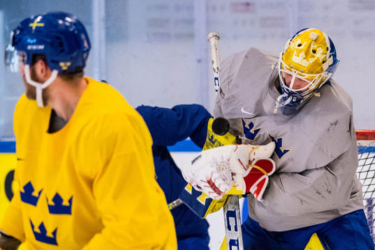 Sveriges målvakt Anders Nilsson