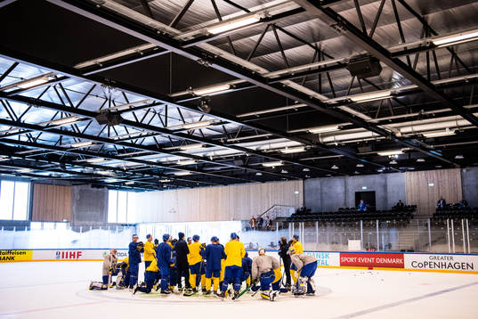 Sveriges spelare har samling