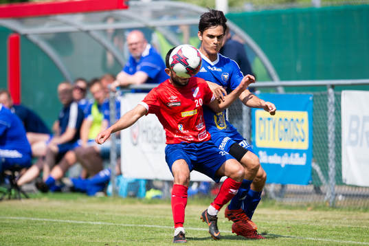 Höganäs Haydil Kret