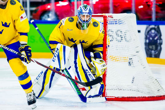 Sveriges målvakt Anders Nilsson