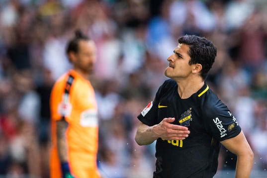 s Tarik Elyounoussi jublar