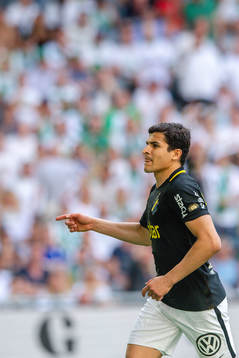 s Tarik Elyounoussi jublar