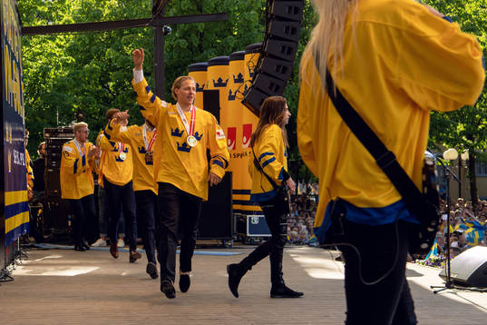 De svenska spelarna