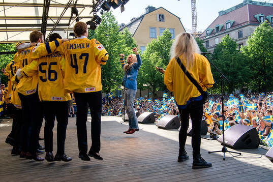 The Poodles och spelarna