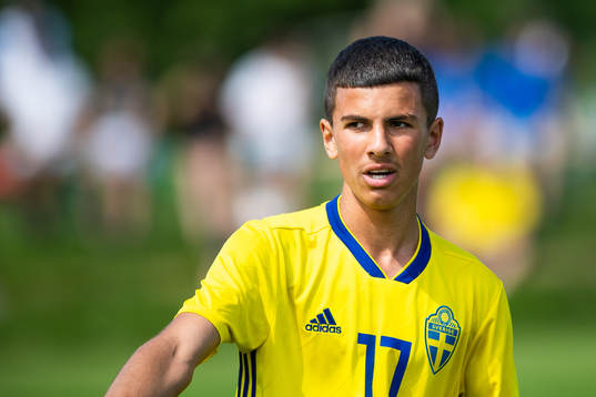 Sveriges Hussein Ali