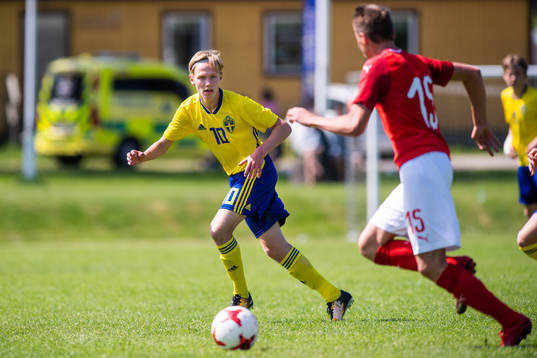 Sveriges Melker Roslin