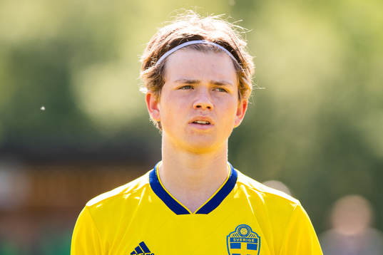 Sveriges Niclas Bergmark
