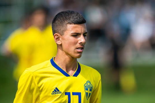 Sveriges Hussein Ali