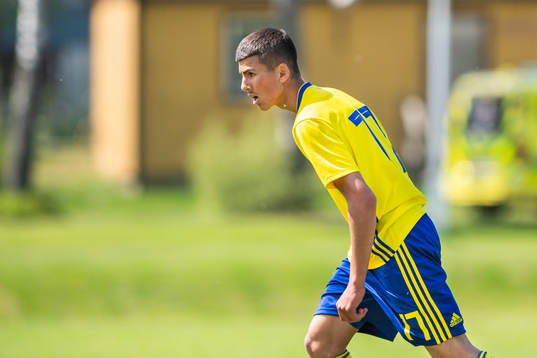 Sveriges Hussein Ali
