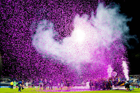 Players and staff of Lyon celebrate