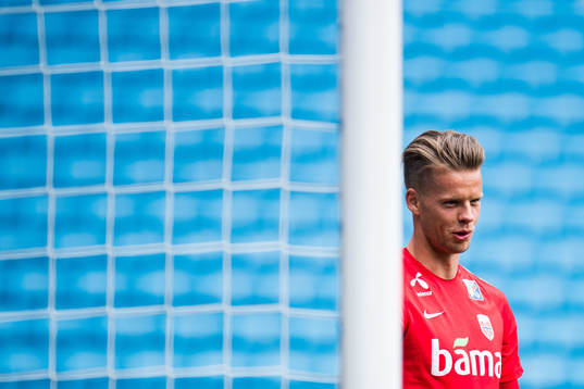 Goalkeeper Ørjan Håskjold Nyland of Norway