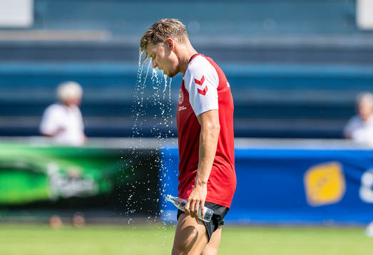 [DK=20180529: Jens Stryger Larsen, Danmark]
