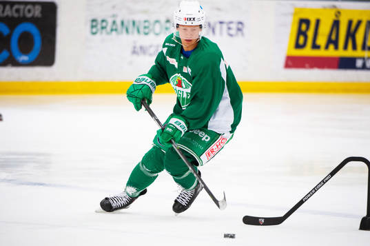 Daniel Bertov