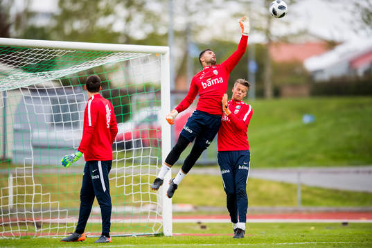 Goalkeeper Rune Almenning Jarstein, goalkeeper Sten